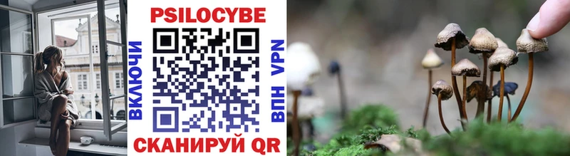 Псилоцибиновые грибы Cubensis  Купить  Ейск 